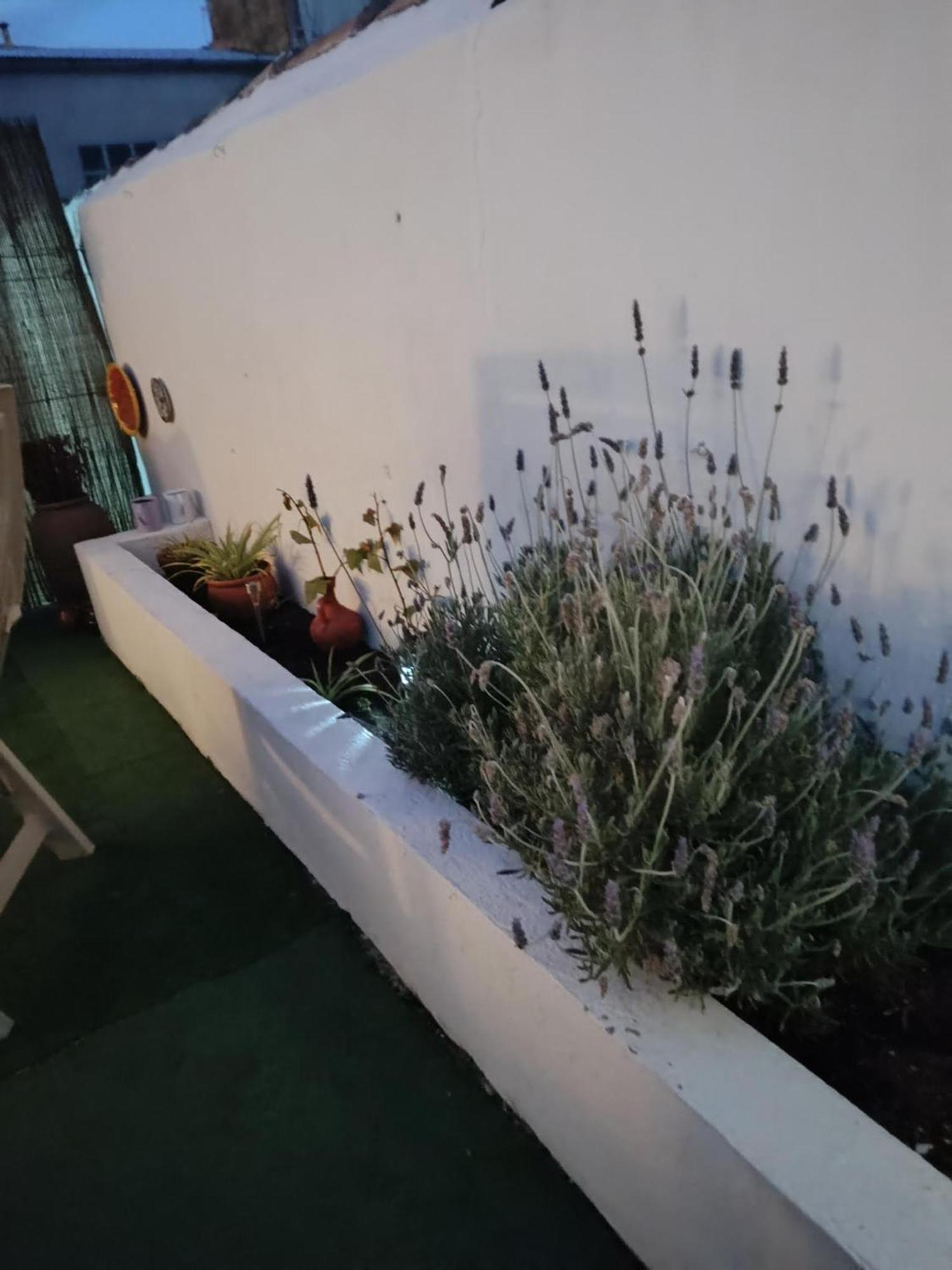 Casa Rural Alegria Caudete de las Fuentes Екстериор снимка