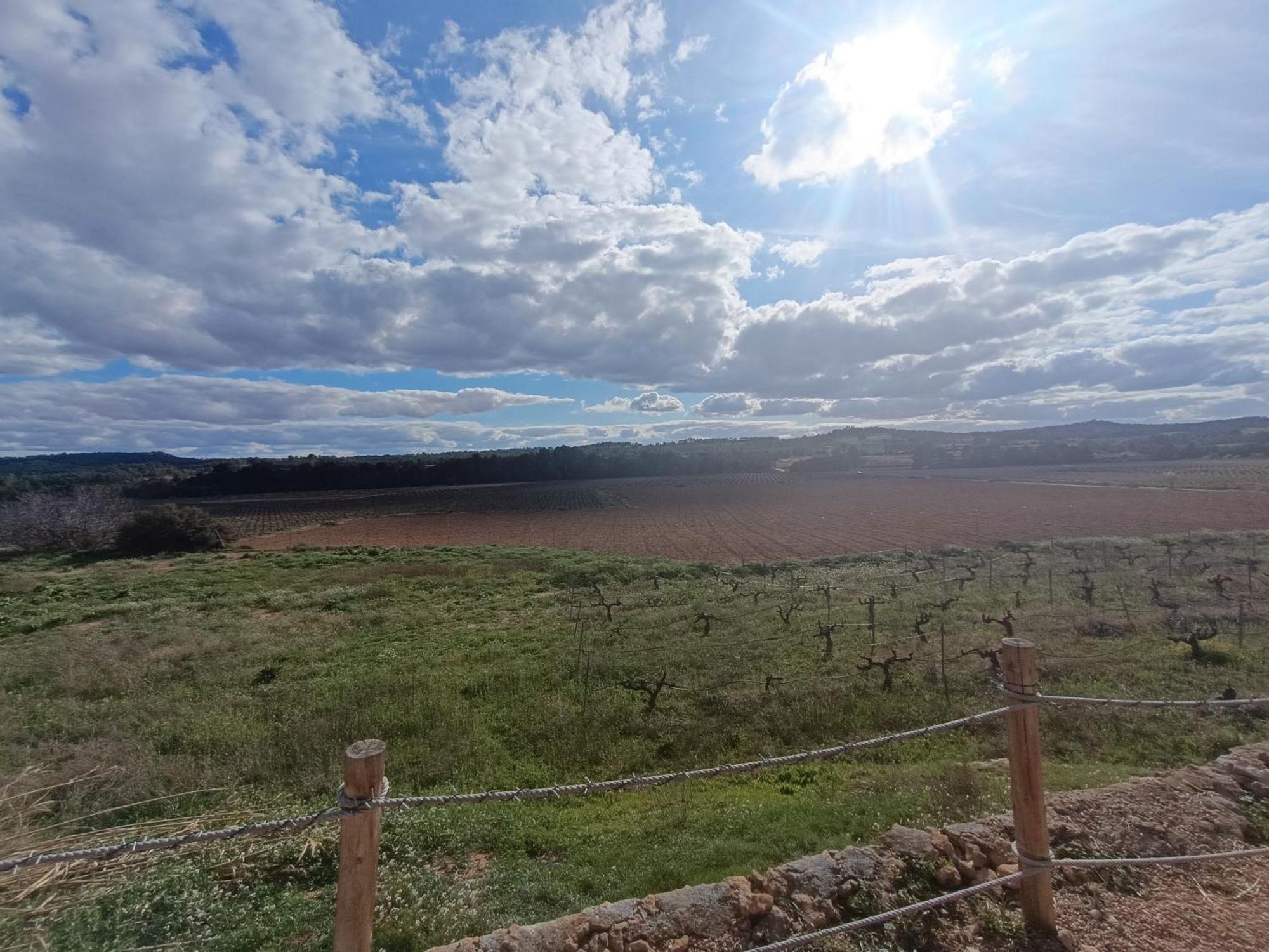 Casa Rural Alegria Caudete de las Fuentes Екстериор снимка